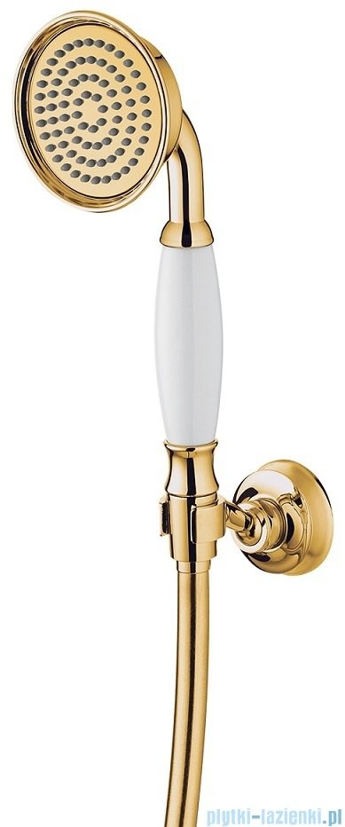 Omnires Armance-P zestaw prysznicowy punktowy 1-funkcyjny złoty ARMANCE-PGL