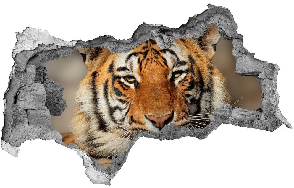 Wallmuralia.pl Dziura 3d foto tapeta naklejka Tygrys bengalski