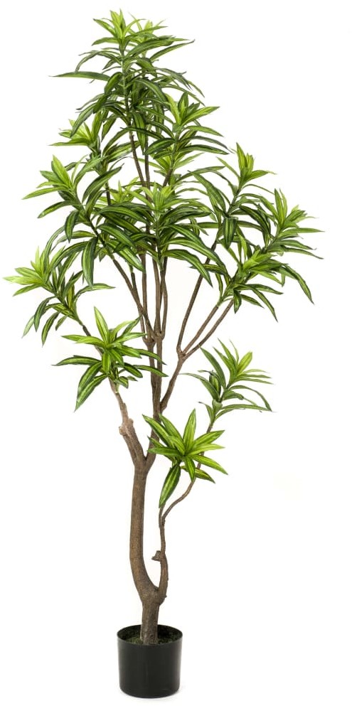 Emerald Eternal Green Emerald Sztuczna dracena, 155 cm, zielona