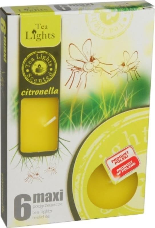 Admit Z MAXI6 podgrzewacz CITRONELLA 6 szt 2938