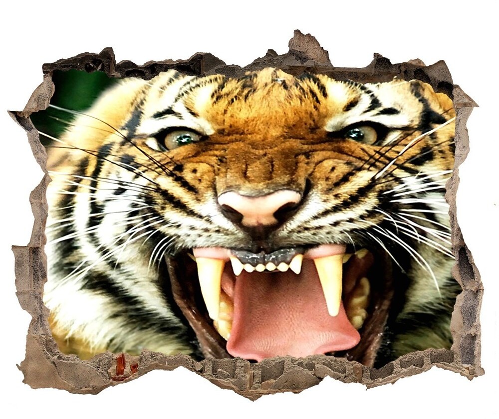 Wallmuralia.pl Dziura 3d fototapeta naklejka Ryczący tygrys