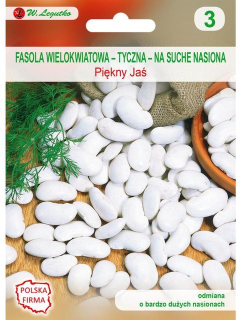 Legutko Fasola wielokwiatowa PIĘKNY JAŚ