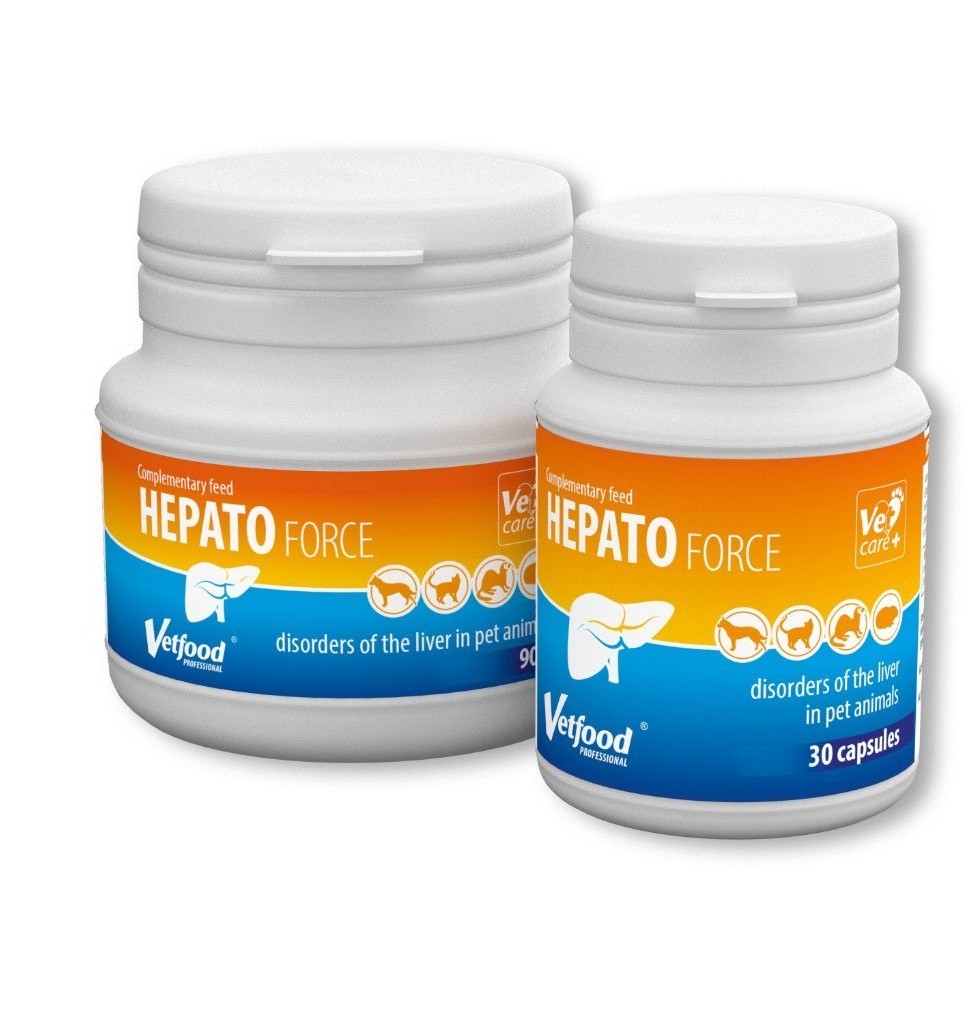 Vetfood Hepatoforce Gel (30 ml)