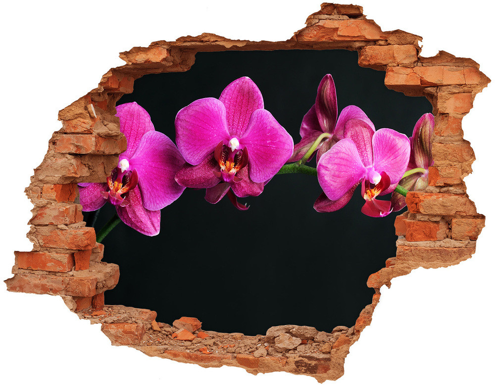 Wallmuralia.pl Samoprzylepna dziura naklejka Orchidea