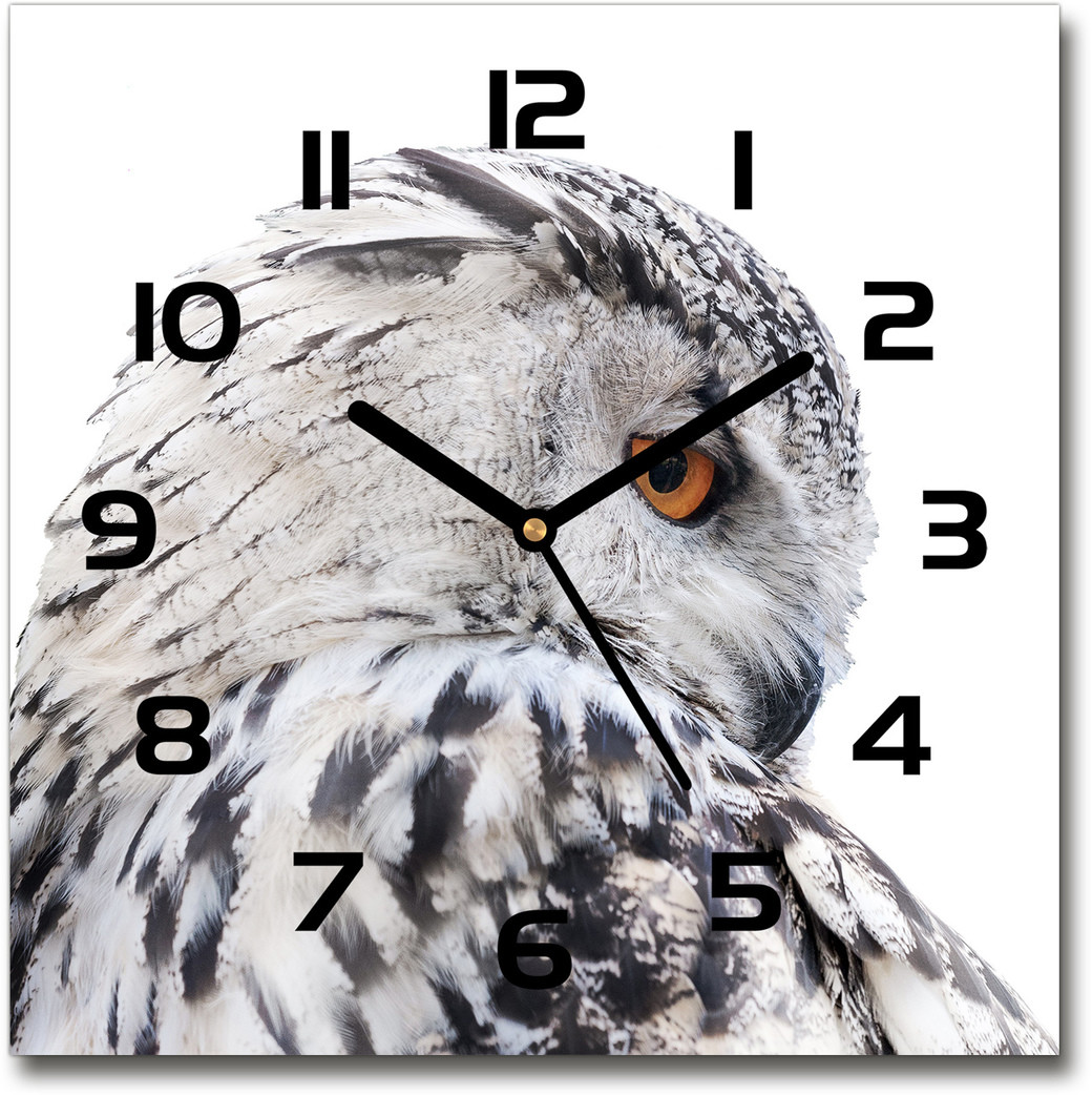 Zegar szklany kwadratowy Biała sowa