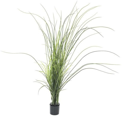 Europalms Euro Palms 82600229 statek trawa 145 cm 82600229