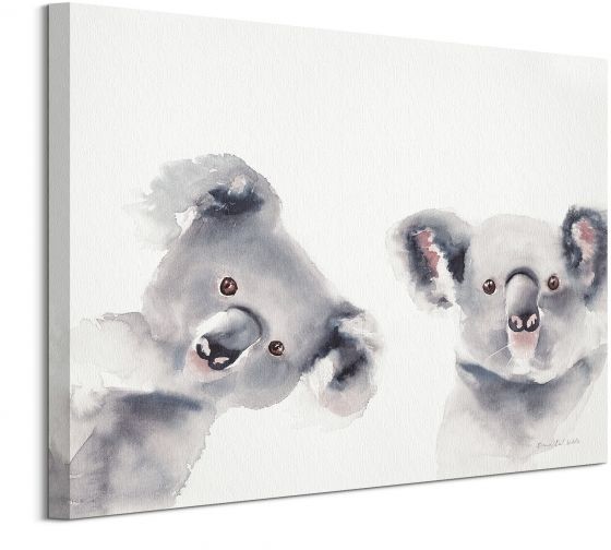 Pyramid Posters Misie Koala - obraz na płótnie WDC94886