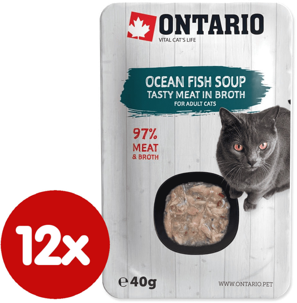 Ontario mokra karma dla kota Cat Soup Ocean Fish with vegetables 12x40 g
