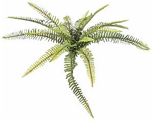 Europalms EUROPALMS Paproć leśna, sztuczna roślina, 40 cm 82519949