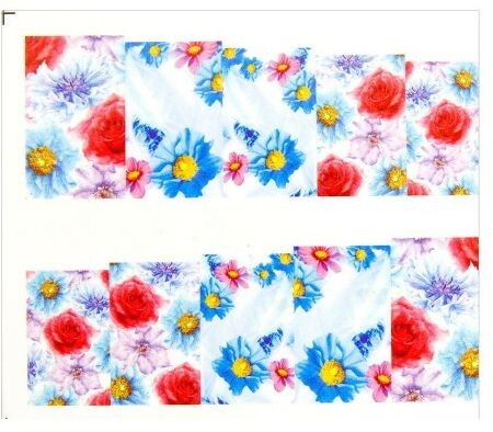 Allepaznokcie Naklejki wodne do paznokci arkusz 6,5 x 5,5 cm na 10 palców bn Nr 009