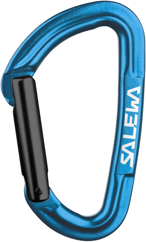 Salewa Hot G3 Carabiner Straight, blue 2021 Karabinki niezakręcane 00-0000001721-3500-UNI