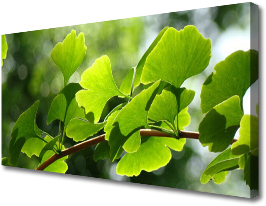 PL Tulup Obraz Canvas Gałęzie Liście Natura Drzewo 120x60cm
