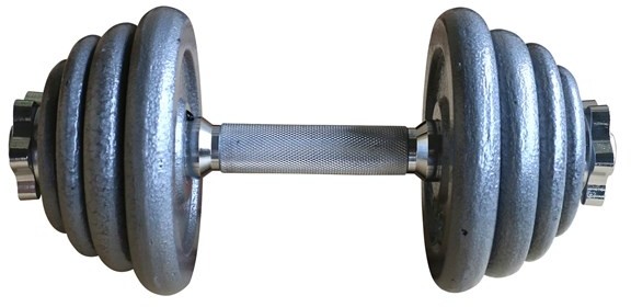 Titan LIFE 15 kg Adjustable Iron Dumbbell 400-800082