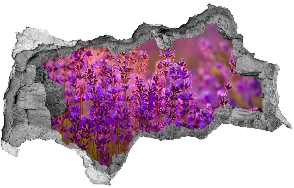 Wallmuralia.pl Samoprzylepna dziura naklejka Pole lawendy