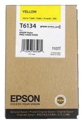 Epson T6134