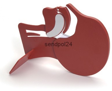 Laerdal Przekrój dróg oddechowych Head Section Model 01 09 00