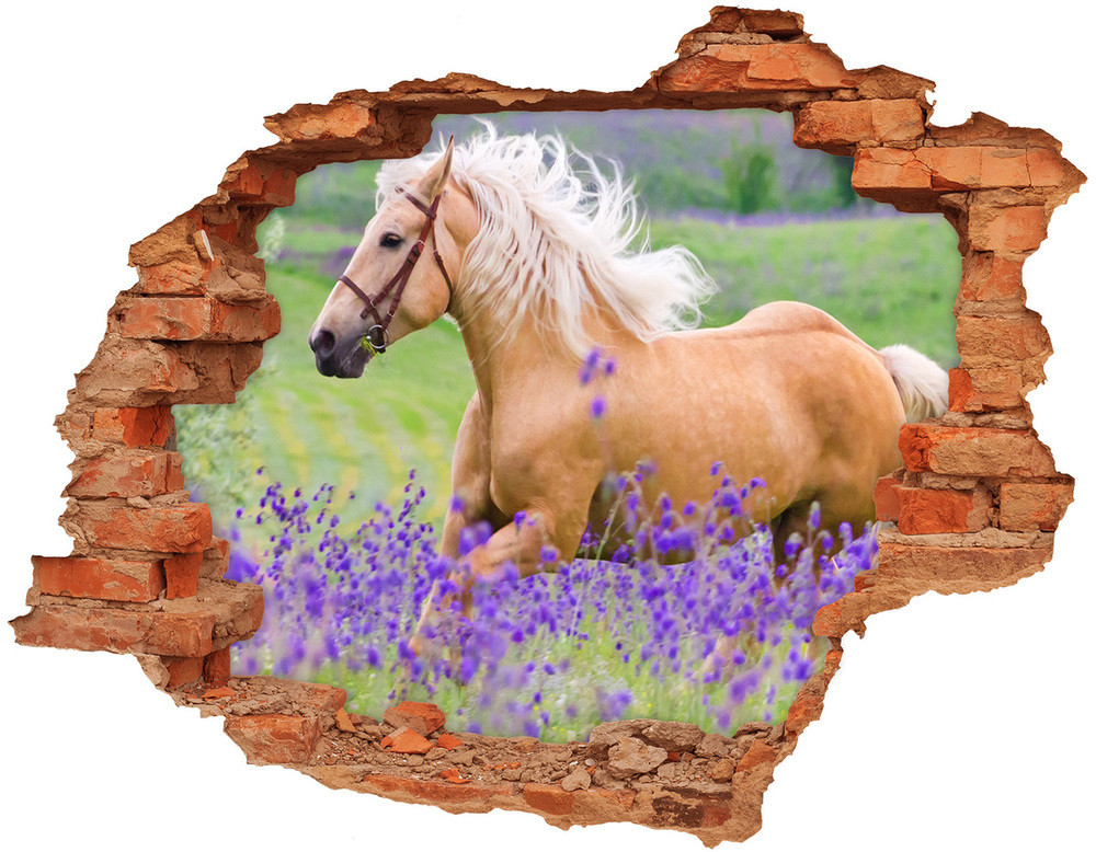 Wallmuralia.pl Dziura 3d fototapeta Koń na polu lawendy