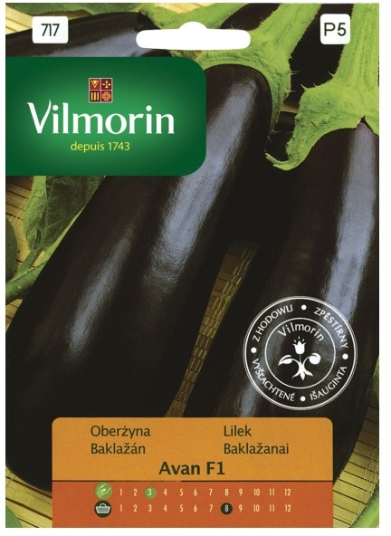 Vilmorin Nasiona oberżyna Avan mieszaniec