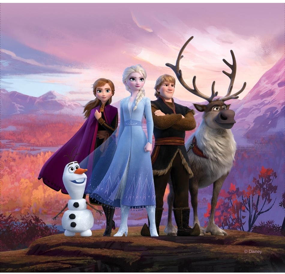 Poduszka Frozen 2, 40 x 40 cm