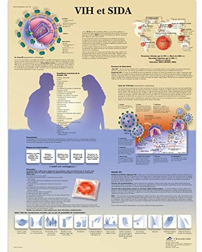 3B Scientific anatomiczne krojenia VR2725UU