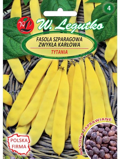 Legutko Fasola zwykła karłowa TYTANIA