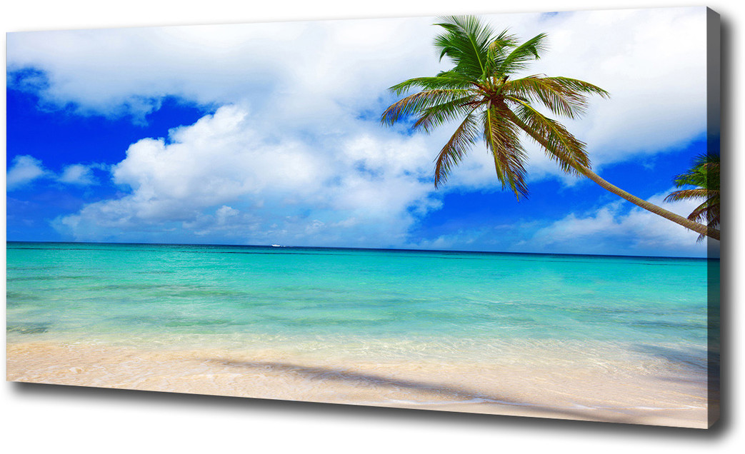 Foto obraz na płótnie Karaiby plaża