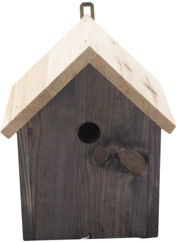 Budka lęgowa dla ptaków kolorowa