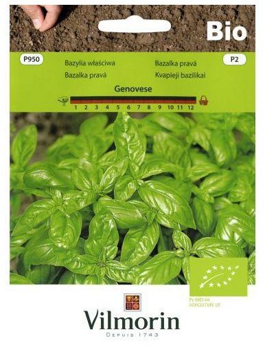 Vilmorin Bazylia właściwa GENOVESE BIO