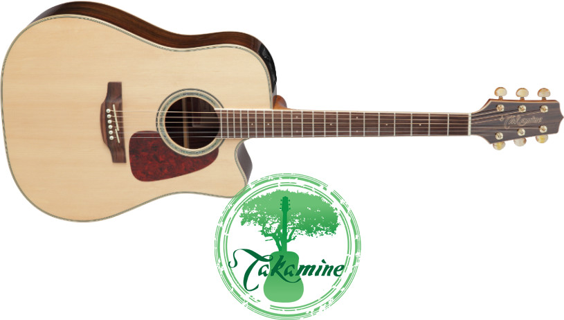 Takamine GD71CE-NAT