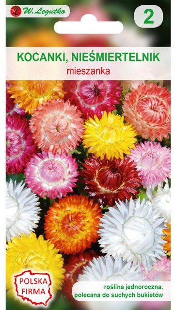 Legutko Kocanki (Nieśmiertelnik) MIESZANKA