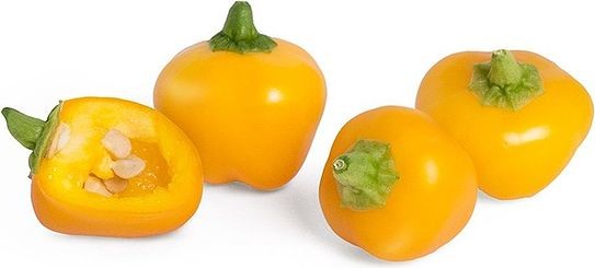 Veritable Wkład nasienny Lingot mini warzywa papryka żółta VLIN-L5-Poi030