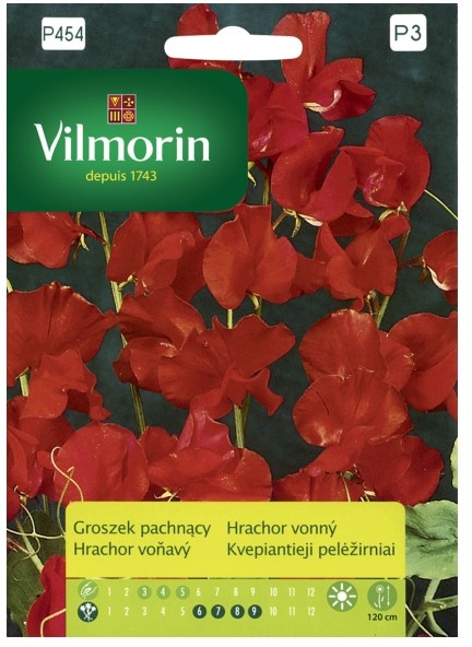 Vilmorin Nasiona groszek pachnący czerwony