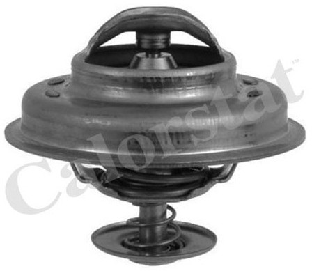 CALORSTAT Termostat, środek chłodzący CALORSTAT TH5231.83J