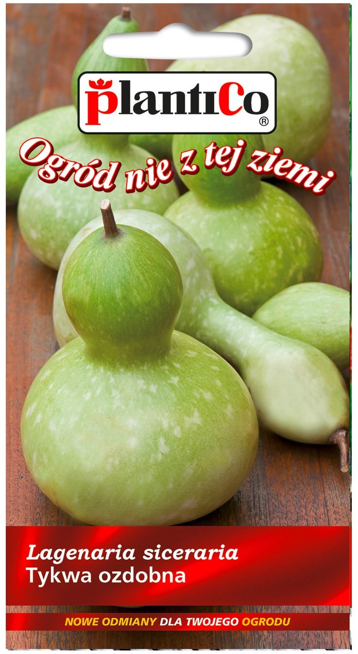 Plantico Dynia ozdobna butelkowa 1g