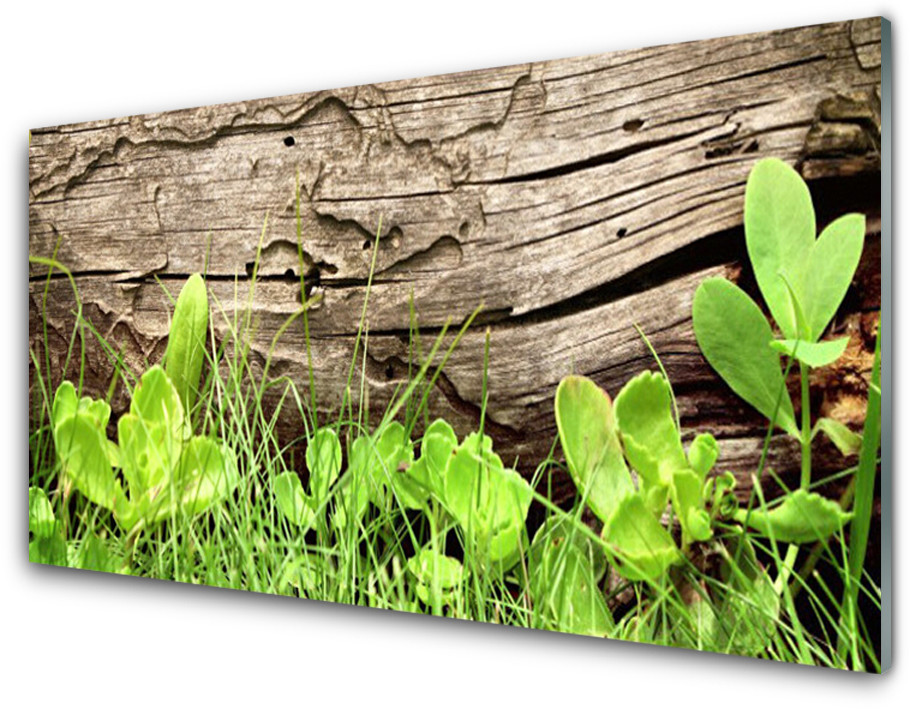 Tulup.pl Panel Szklany Trawa Liście Kwiaty 100x50cm
