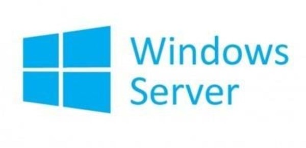 Microsoft Windows Server 2022 Standard P73-08328