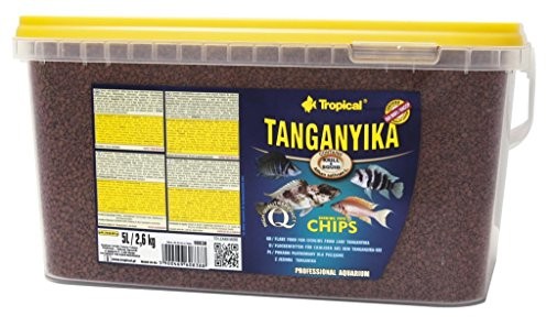 Tropical Tang anyika Chips  składnik bogate, spadek specjalna wyściółka-Chips dla dużych tanganika See-Danio, 1er Pack (1 X 5 L) C-152