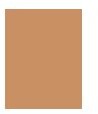 Clinique Beyond Perfecting Foundation + Concealer podkład 30 ml dla kobiet 10 Honey Wheat