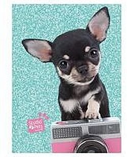Pamiętnik Studio Pets chihuahua