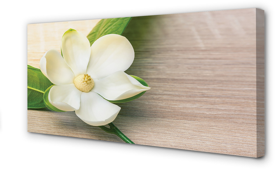 PL Tulup Obrazy na płótnie Biała magnolia 140x70cm