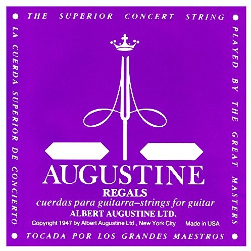 Augustine 650502