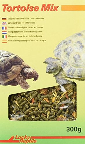 Lucky Reptile Tortoise Mix