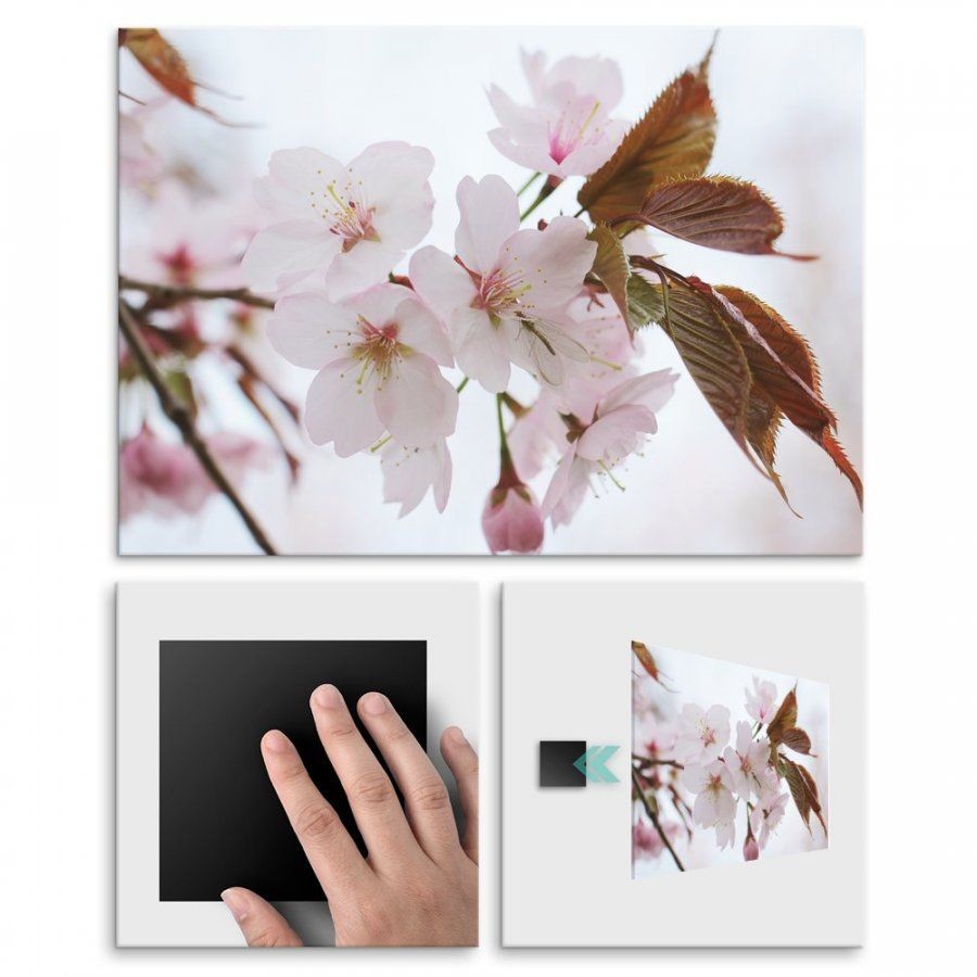 Pix4home Plakat metalowy kwiaty wiśni M POS-M-01465