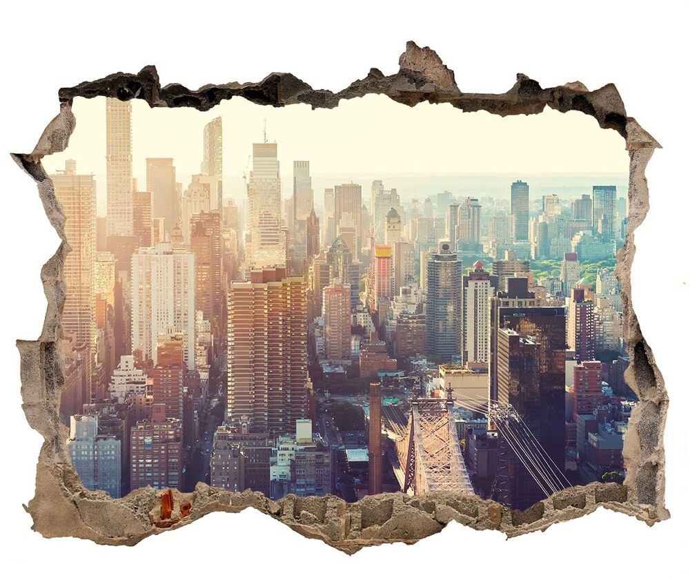 Wallmuralia.pl Fototapeta dziura na ścianę Nowy Jork lot ptaka