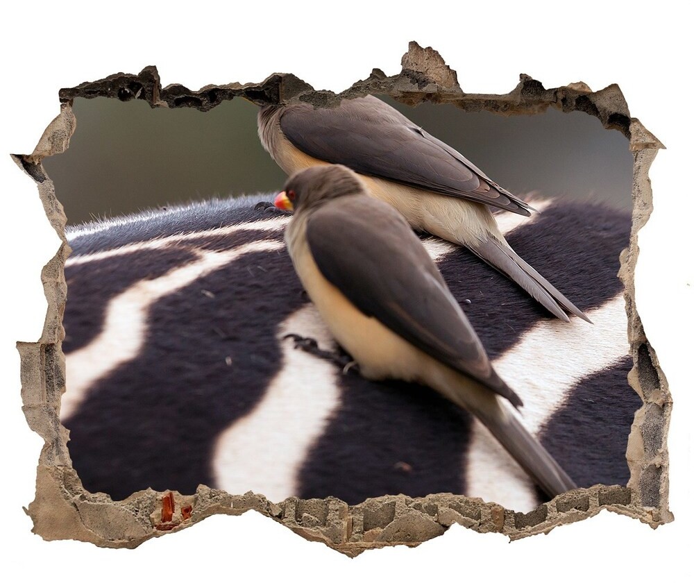 Wallmuralia.pl Dziura 3d fototapeta naklejka Ptaki i zebra