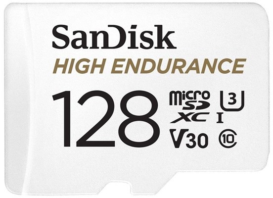 SanDisk High Endurance 8GB