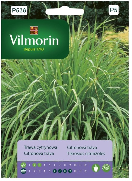 Vilmorin Nasiona trawa cytrynowa Palczatka