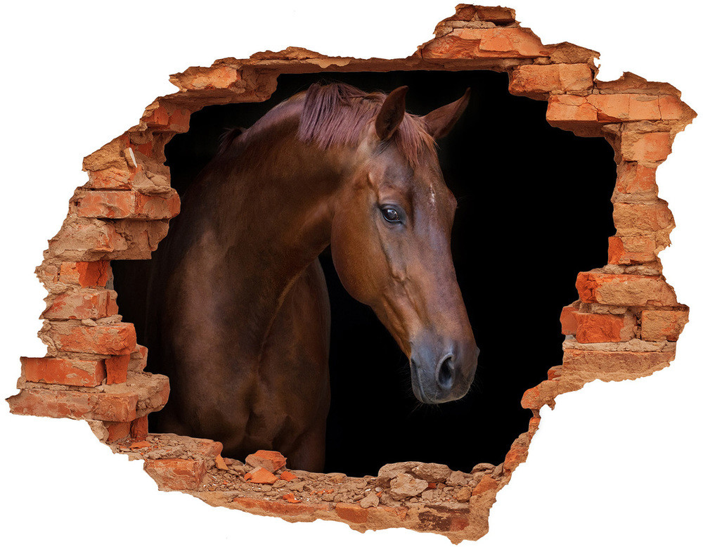 Wallmuralia.pl Dziura 3d fototapeta na ścianę Brązowy koń