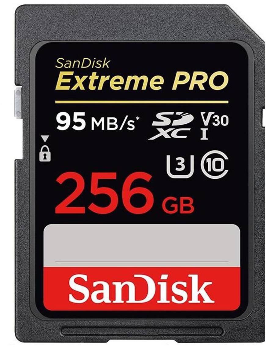 SanDisk SDXC Extreme Pro 256GB (SDSDXXG-256G-GN4IN / 173371)