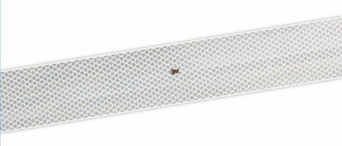 3M DG3 Taśma konturowa serii 983 biała 7000068736